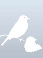 Филатов Е.А.'s picture